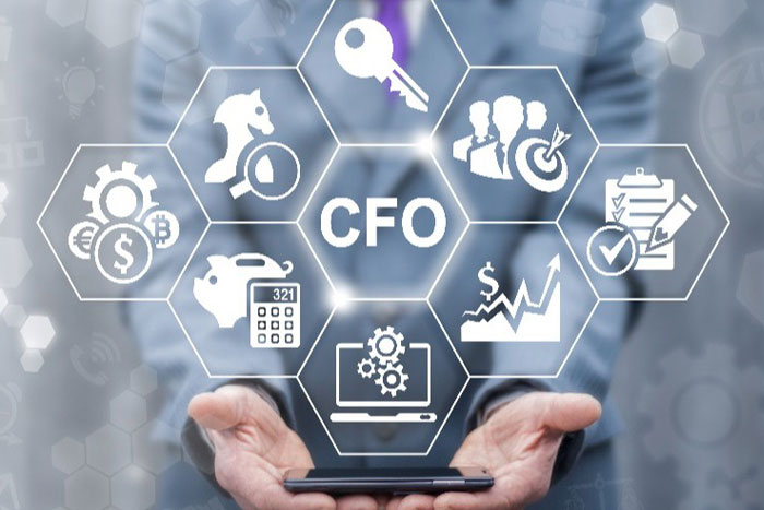 Fractional Controller / CFO